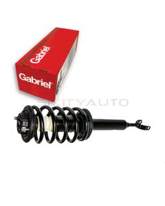 Gabriel Suspension Strut Assembly