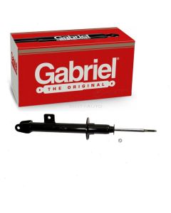 Gabriel Suspension Strut