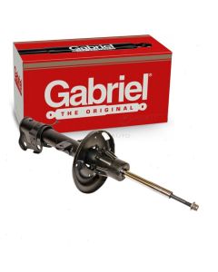 Gabriel Suspension Strut