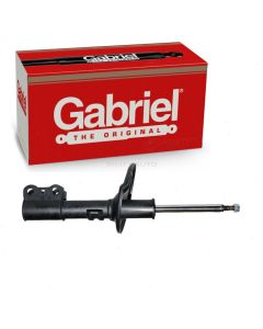 Gabriel Suspension Strut