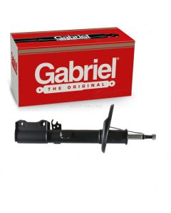 Gabriel Suspension Strut