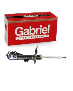 Gabriel Suspension Strut