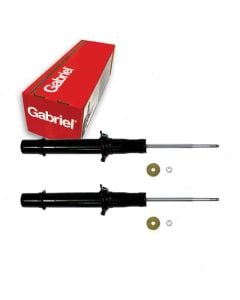 Gabriel Suspension Strut Assembly