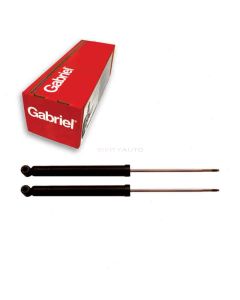 Gabriel Shock Absorber