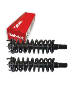 Gabriel Suspension Strut Assembly