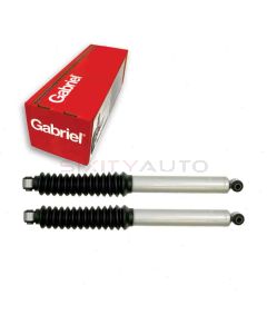 Gabriel Shock Absorber