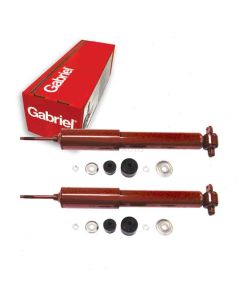 Gabriel Shock Absorber
