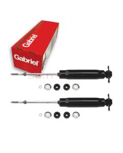 Gabriel Shock Absorber
