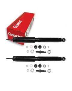 Gabriel Shock Absorber