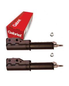 Gabriel Suspension Strut Assembly