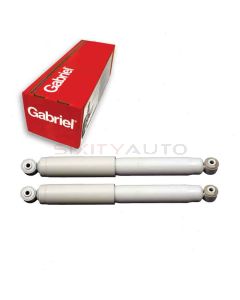 Gabriel Shock Absorber