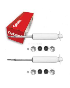 Gabriel Shock Absorber