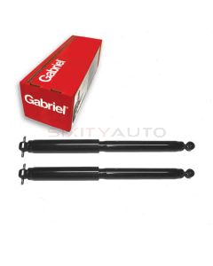 Gabriel Shock Absorber