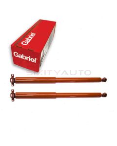 Gabriel Shock Absorber