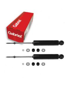 Gabriel Shock Absorber