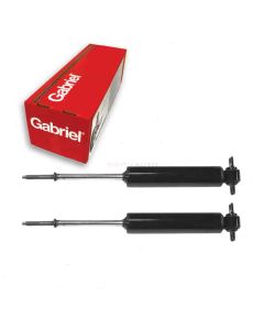 Gabriel Shock Absorber