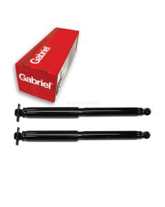 Gabriel Shock Absorber