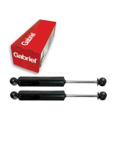 Gabriel Shock Absorber