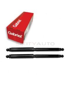 Gabriel Shock Absorber