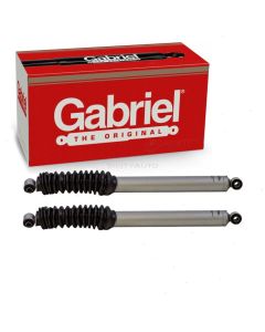 Gabriel Shock Absorber