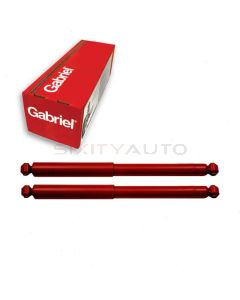 Gabriel Shock Absorber