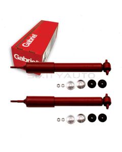 Gabriel Shock Absorber