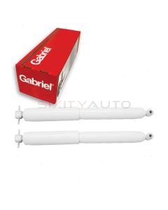 Gabriel Shock Absorber