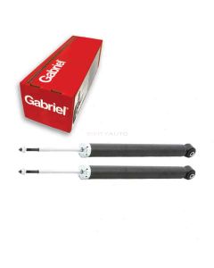 Gabriel Shock Absorber