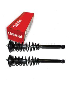 Gabriel Suspension Strut Assembly