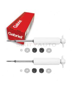 Gabriel Shock Absorber