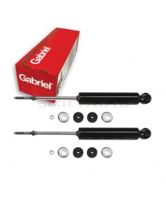 Gabriel Shock Absorber