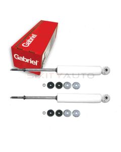 Gabriel Shock Absorber