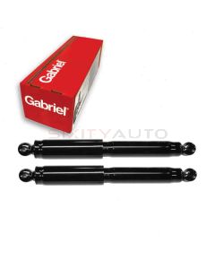 Gabriel Shock Absorber