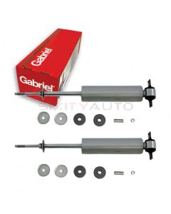 Gabriel Shock Absorber