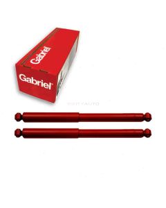 Gabriel Shock Absorber