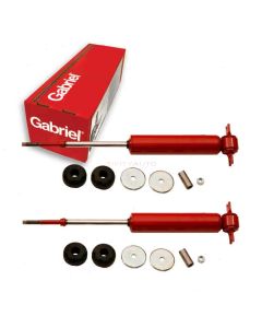 Gabriel Shock Absorber