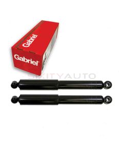 Gabriel Shock Absorber