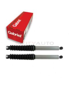 Gabriel Shock Absorber