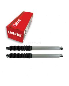 Gabriel Shock Absorber