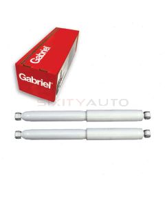 Gabriel Shock Absorber