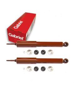 Gabriel Shock Absorber