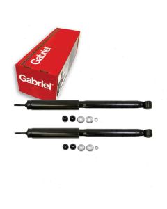 Gabriel Shock Absorber