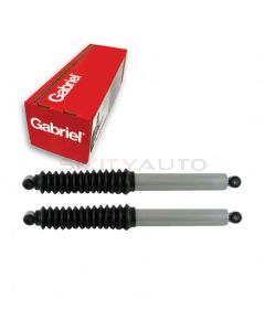 Gabriel Shock Absorber