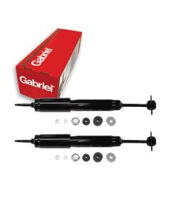 Gabriel Shock Absorber