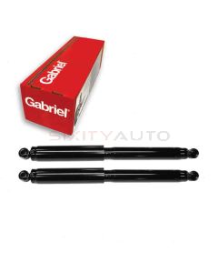 Gabriel Shock Absorber