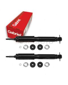 Gabriel Shock Absorber