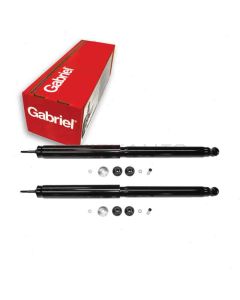 Gabriel Shock Absorber