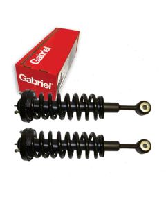 Gabriel Suspension Strut Assembly