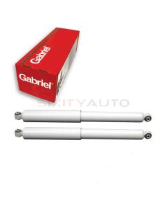 Gabriel Shock Absorber