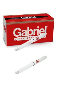 Gabriel Shock Absorber